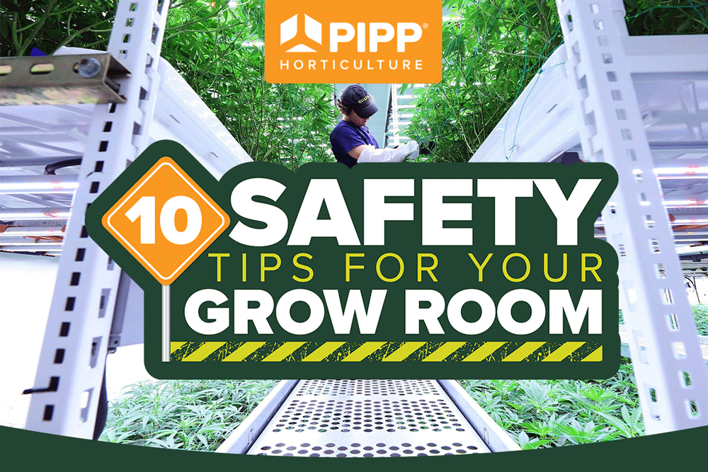 10 Safety Tips For Your Grow Room