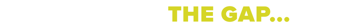 Bridging the Gap
