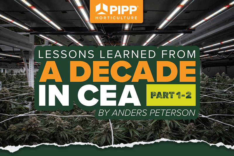 Lessons Learned from a Decade in CEA