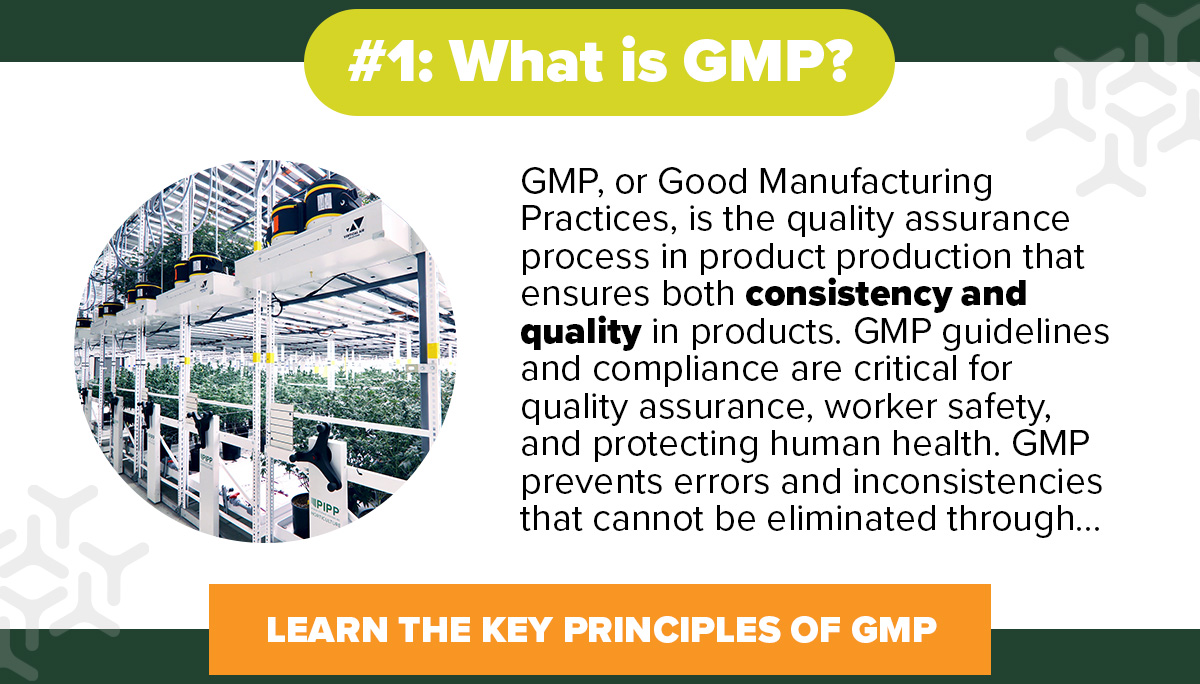 What is GMP?